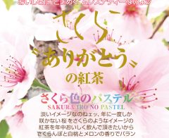 最高級の紅茶『ムレスナティー』の卸販売