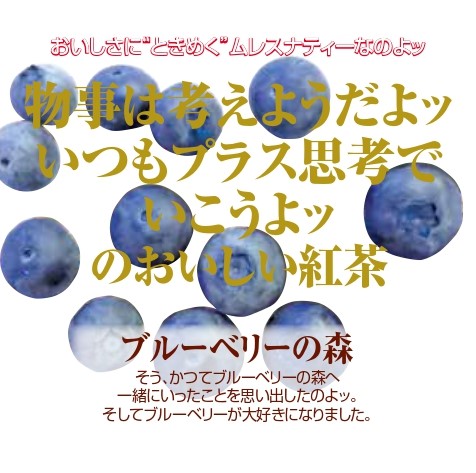 ブルーベリーの森